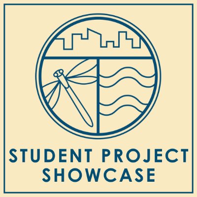 Groundswell Student Project Showcase Thumbnail